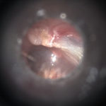 Fotogallery 6